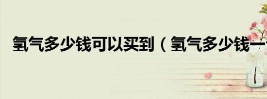 氢气多少钱可以买到（氢气多少钱一公斤）