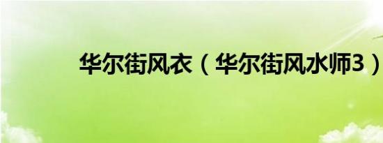 华尔街风衣（华尔街风水师3）