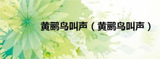 黄鹂鸟叫声（黄鹂鸟叫声）