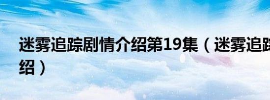 迷雾追踪剧情介绍第19集（迷雾追踪剧情介绍）