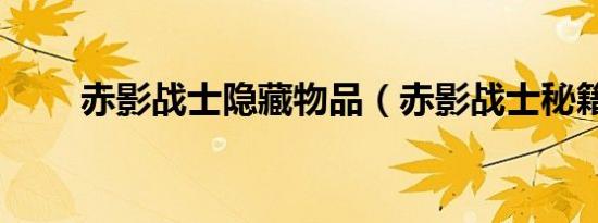 赤影战士隐藏物品（赤影战士秘籍）