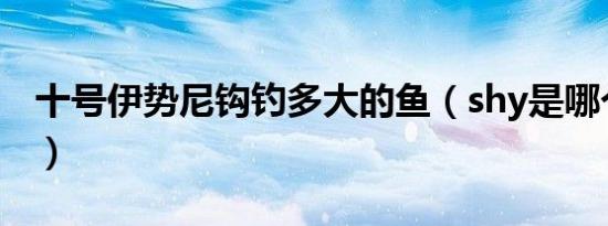 十号伊势尼钩钓多大的鱼（shy是哪个战队的）