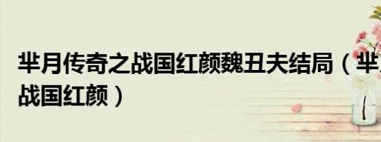 芈月传奇之战国红颜魏丑夫结局（芈月传奇之战国红颜）