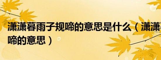 潇潇暮雨子规啼的意思是什么（潇潇暮雨子规啼的意思）