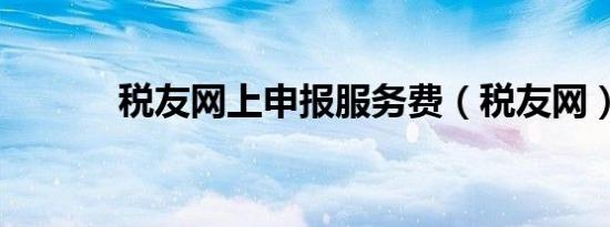 税友网上申报服务费（税友网）