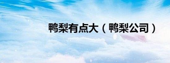 鸭梨有点大（鸭梨公司）