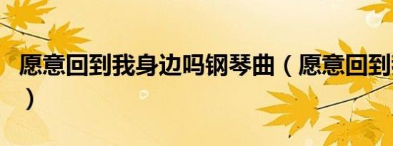 愿意回到我身边吗钢琴曲（愿意回到我身边吗）