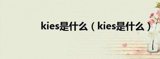 kies是什么（kies是什么）