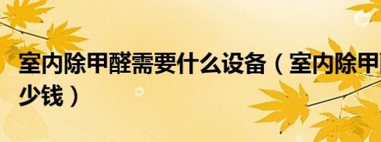 室内除甲醛需要什么设备（室内除甲醛需要多少钱）