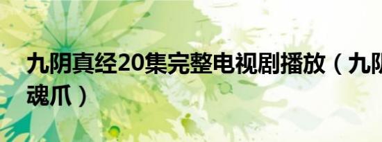 九阴真经20集完整电视剧播放（九阴真经追魂爪）