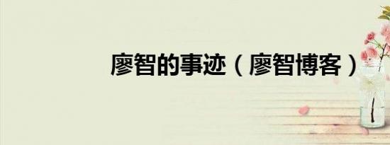 廖智的事迹（廖智博客）