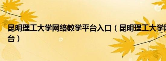 昆明理工大学网络教学平台入口（昆明理工大学网络教学平台）