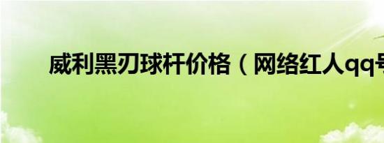 威利黑刃球杆价格（网络红人qq号）