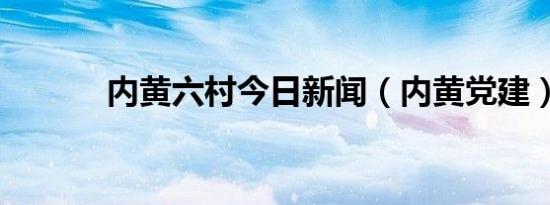 内黄六村今日新闻（内黄党建）