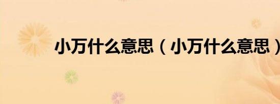 小万什么意思（小万什么意思）