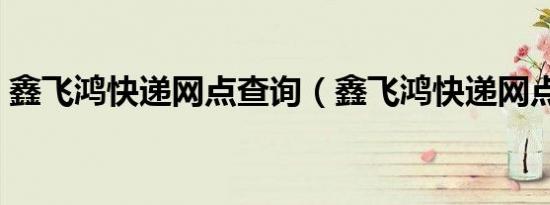 鑫飞鸿快递网点查询（鑫飞鸿快递网点查询）