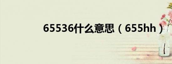 65536什么意思（655hh）