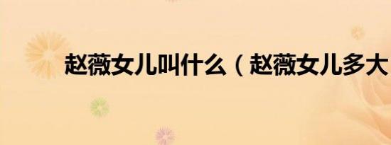 赵薇女儿叫什么（赵薇女儿多大）
