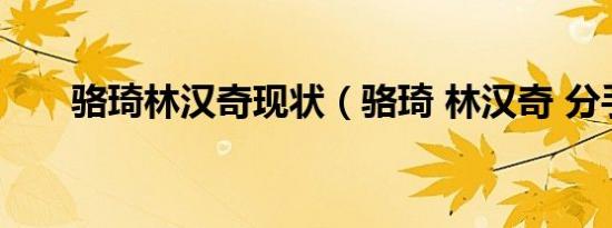 骆琦林汉奇现状（骆琦 林汉奇 分手）