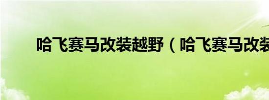 哈飞赛马改装越野（哈飞赛马改装）
