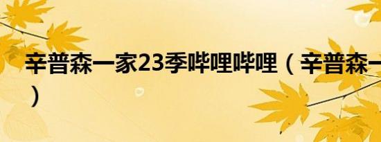 辛普森一家23季哔哩哔哩（辛普森一家23季）