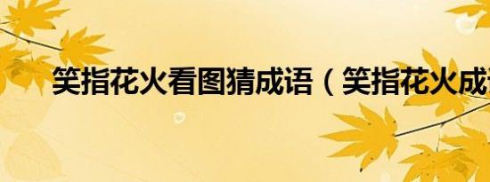 笑指花火看图猜成语（笑指花火成语）