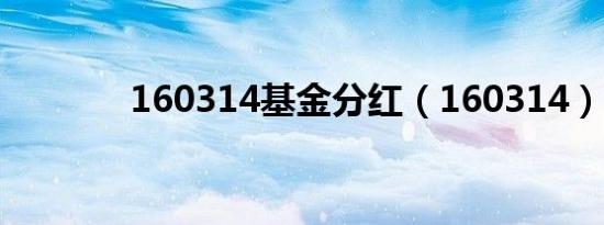160314基金分红（160314）
