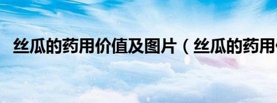 丝瓜的药用价值及图片（丝瓜的药用价值）