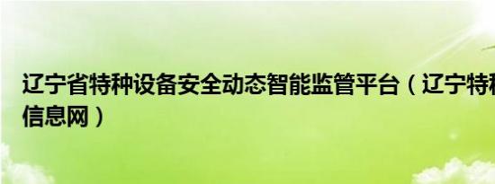 辽宁省特种设备安全动态智能监管平台（辽宁特种设备公众信息网）