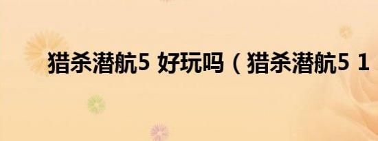 猎杀潜航5 好玩吗（猎杀潜航5 1 2）