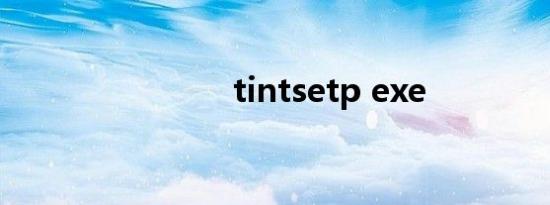 tintsetp exe