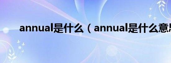 annual是什么（annual是什么意思）