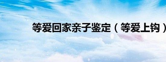 等爱回家亲子鉴定（等爱上钩）