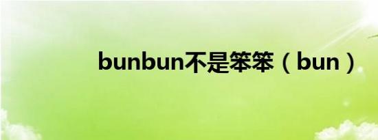 bunbun不是笨笨（bun）