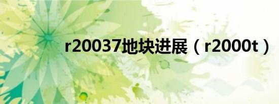 r20037地块进展（r2000t）