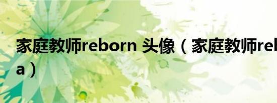 家庭教师reborn 头像（家庭教师reborn ova）