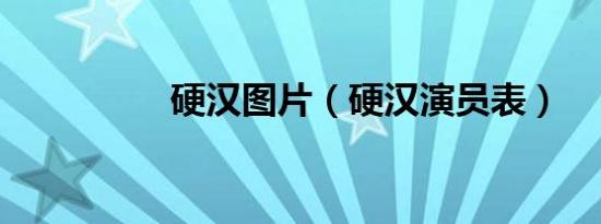 硬汉图片（硬汉演员表）