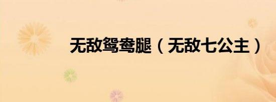 无敌鸳鸯腿（无敌七公主）
