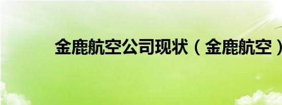 金鹿航空公司现状（金鹿航空）