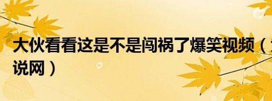 大伙看看这是不是闯祸了爆笑视频（大伙看小说网）