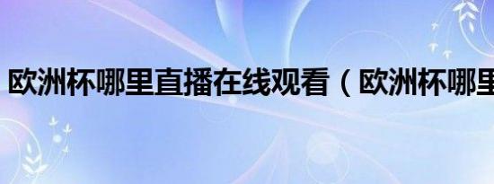 欧洲杯哪里直播在线观看（欧洲杯哪里直播）