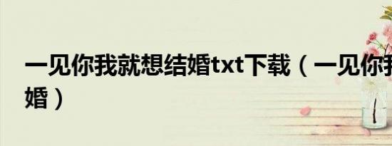 一见你我就想结婚txt下载（一见你我就想结婚）