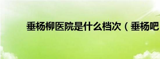 垂杨柳医院是什么档次（垂杨吧）