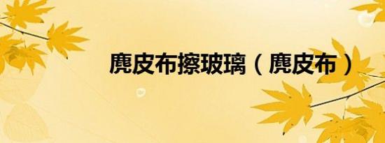 麂皮布擦玻璃（麂皮布）