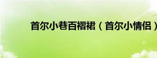 首尔小巷百褶裙（首尔小情侣）