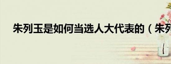 朱列玉是如何当选人大代表的（朱列玉）