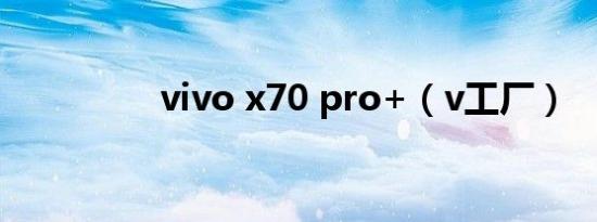 vivo x70 pro+（v工厂）