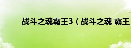 战斗之魂霸王3（战斗之魂 霸王）