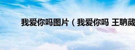 我爱你吗图片（我爱你吗 王聃葳）