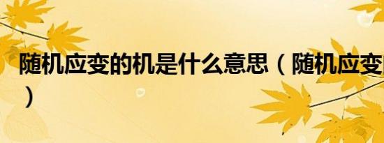 随机应变的机是什么意思（随机应变的反义词）